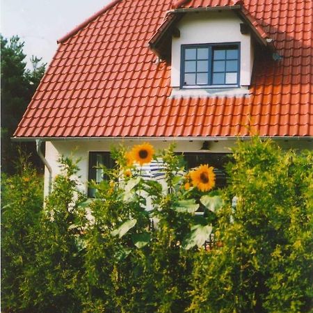 Lindenstr_32B Διαμέρισμα Zingst Εξωτερικό φωτογραφία